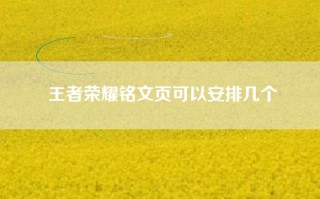 王者荣耀铭文页可以安排几个