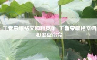 王者荣耀铭文调和英雄_王者荣耀铭文调和虚空宿命