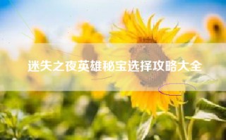 迷失之夜英雄秘宝选择攻略大全