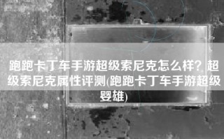 跑跑卡丁车手游超级索尼克怎么样？超级索尼克属性评测(跑跑卡丁车手游超级婴雄)