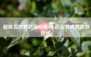超级五虎将赵云厉害吗(赵云五虎将皮肤返场)