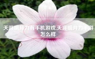 天涯明月刀有手机游戏,天涯明月刀手游怎么样
