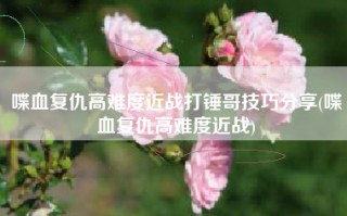 喋血复仇高难度近战打锤哥技巧分享(喋血复仇高难度近战)
