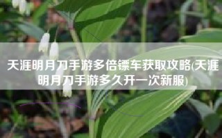 天涯明月刀手游多倍镖车获取攻略(天涯明月刀手游多久开一次新服)