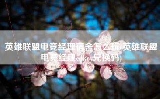 英雄联盟电竞经理宿舍怎么玩(英雄联盟电竞经理cdkey兑换码)