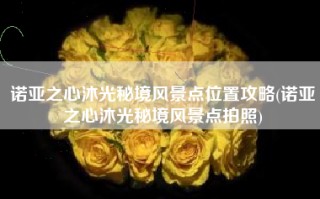 诺亚之心沐光秘境风景点位置攻略(诺亚之心沐光秘境风景点拍照)