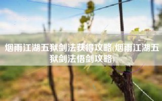 烟雨江湖五狱剑法获得攻略(烟雨江湖五狱剑法悟剑攻略)