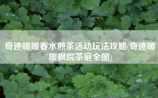 奇迹暖暖春水煎茶活动玩法攻略(奇迹暖暖枫院茶庭全图)