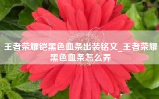 王者荣耀铠黑色血条出装铭文_王者荣耀黑色血条怎么弄