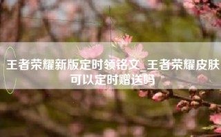 王者荣耀新版定时领铭文_王者荣耀皮肤可以定时赠送吗