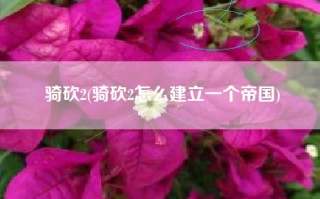 骑砍2(骑砍2怎么建立一个帝国)