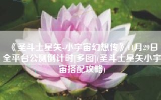 《圣斗士星矢-小宇宙幻想传》11月29日全平台公测倒计时[多图](圣斗士星矢小宇宙搭配攻略)