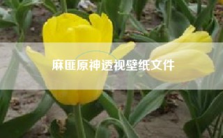 麻匪原神透视壁纸文件