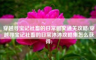 穿越寻宝记社畜的日常图文通关攻略(穿越寻宝记社畜的日常沐沐攻略集怎么获得)