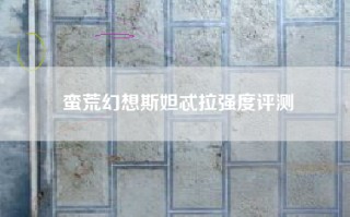 蛮荒幻想斯妲忒拉强度评测