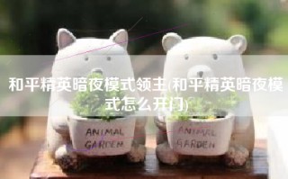 和平精英暗夜模式领主(和平精英暗夜模式怎么开门)