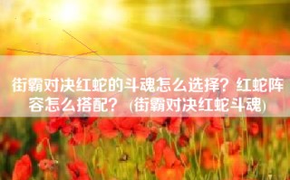 街霸对决红蛇的斗魂怎么选择？红蛇阵容怎么搭配？ (街霸对决红蛇斗魂)