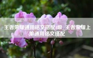 王者荣耀通用铭文搭配4级_王者荣耀上单通用铭文搭配