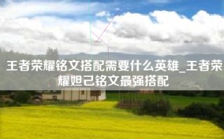王者荣耀铭文搭配需要什么英雄_王者荣耀妲己铭文最强搭配