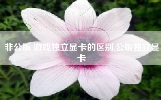 非公版 游戏独立显卡的区别,公版独立显卡