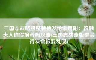 三国志战略版整装待发给谁用附：祝融夫人值得培养吗攻略(三国志战略版整装待发会被混乱吗)
