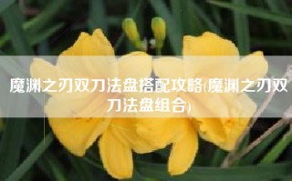 魔渊之刃双刀法盘搭配攻略(魔渊之刃双刀法盘组合)