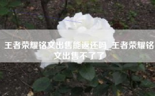 王者荣耀铭文出售能返还吗_王者荣耀铭文出售不了了