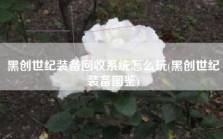 黑创世纪装备回收系统怎么玩(黑创世纪装备图鉴)