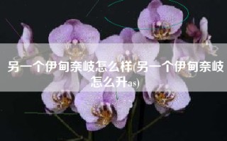 另一个伊甸奈岐怎么样(另一个伊甸奈岐怎么升as)