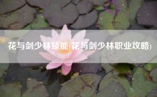 花与剑少林技能(花与剑少林职业攻略)