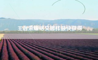 王者荣耀铭文哪样最快获得