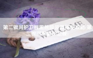 第二银河护卫舰黑熊级装置搭配攻略(第二银河限量护卫舰)