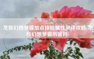 龙族幻想梦貘加点技能属性测评攻略(龙族幻想梦貘厉害吗)