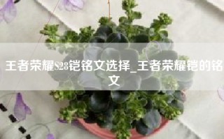 王者荣耀S28铠铭文选择_王者荣耀铠的铭文
