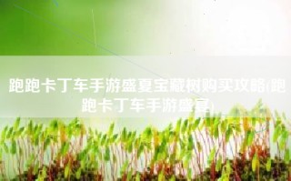 跑跑卡丁车手游盛夏宝藏树购买攻略(跑跑卡丁车手游盛宴)