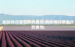 阴阳师白狼喜欢的食物(阴阳师白狼喜欢的食物)