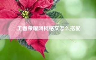王者荣耀阿柯铭文怎么搭配