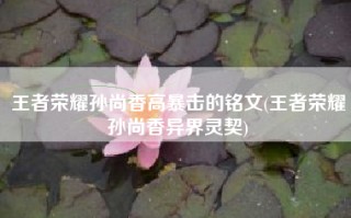 王者荣耀孙尚香高暴击的铭文(王者荣耀孙尚香异界灵契)