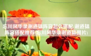 忘川风华录谢道韫阵容怎么搭配 谢道韫阵容搭配推荐(忘川风华录谢道韫图片)