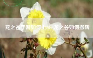 龙之谷手游如何上20w,龙之谷如何搬砖