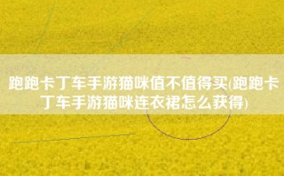 跑跑卡丁车手游猫咪值不值得买(跑跑卡丁车手游猫咪连衣裙怎么获得)