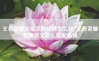 王者荣耀没铭文的貂蝉怎么打_王者荣耀貂蝉铭文怎么搭配最强