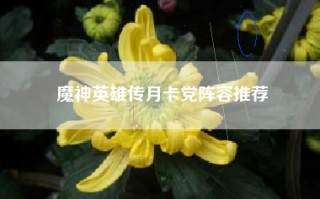 魔神英雄传月卡党阵容推荐