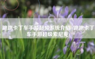 跑跑卡丁车手游超频系统介绍 (跑跑卡丁车手游超级索尼克)