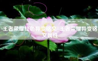王者荣耀红色异变铭文_王者荣耀异变铭文属性
