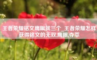 王者荣耀铭文鹰眼就三个_王者荣耀怎样获得铭文的无双,鹰眼,夺萃