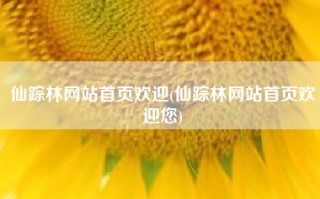 仙踪林网站首页欢迎(仙踪林网站首页欢迎您)