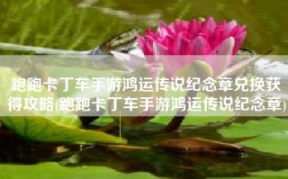 跑跑卡丁车手游鸿运传说纪念章兑换获得攻略(跑跑卡丁车手游鸿运传说纪念章)