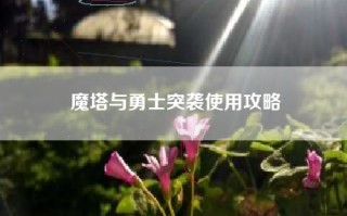 魔塔与勇士突袭使用攻略