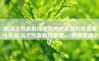 航海王热血航线使用两把武器的他答案分享(航海王热血航线使用mr2携带奇迹之证)